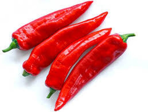 Spitzpeperoni rot