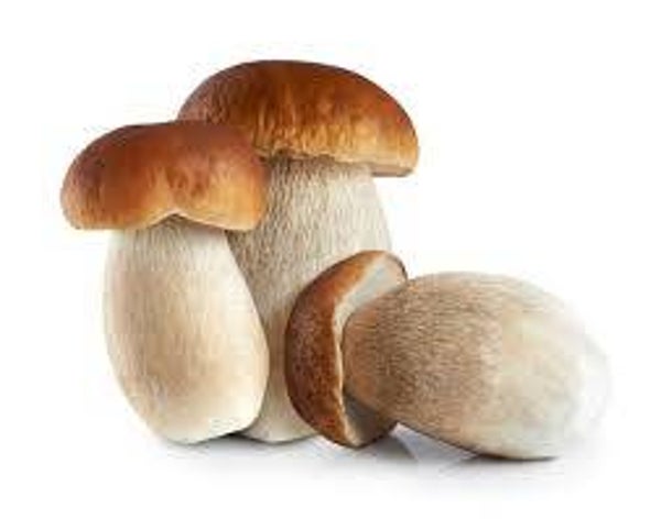 Steinpilze