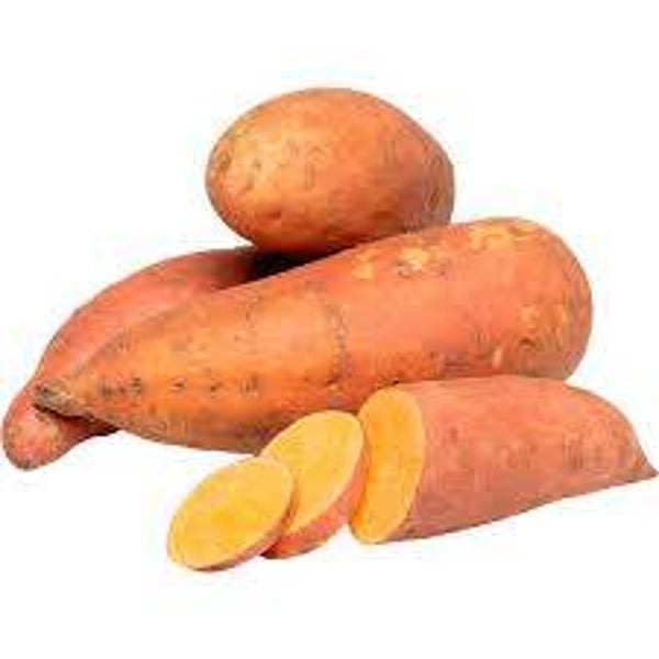 Süsskartoffeln Gastro