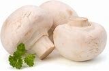 Champignons weis ca 1Kg