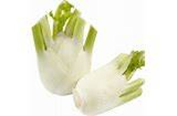 Bio Fenchel ca 500g