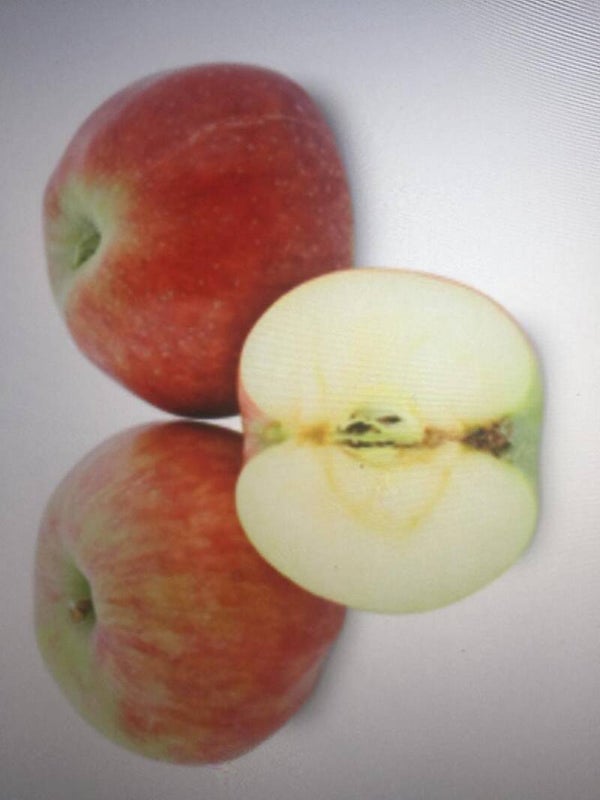 Gravebsteiner