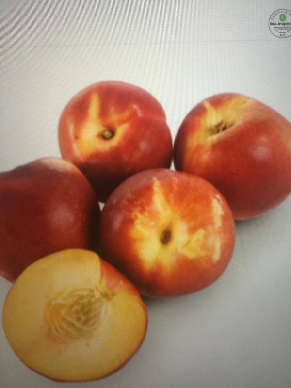 Bio Nektarinen Schale