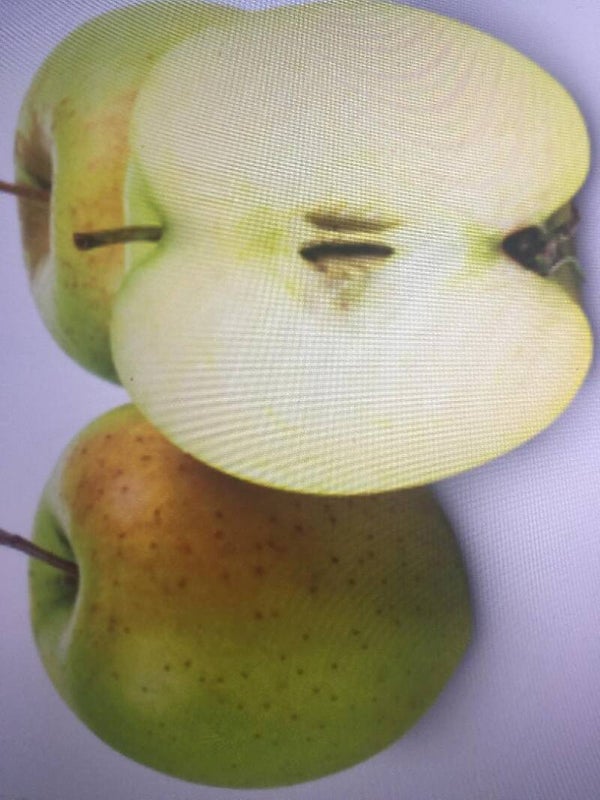 Apfel Golden