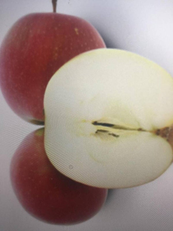 Apfel Summerred