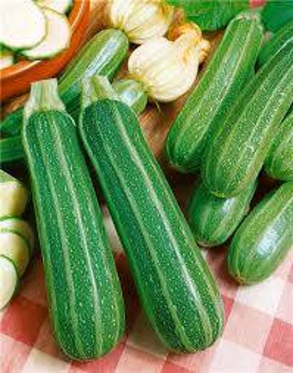 Bio Tiger Zuccheti 1 Kg