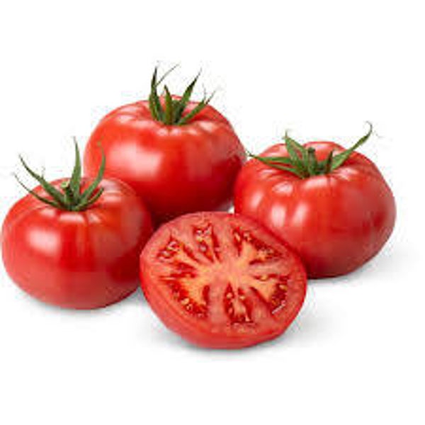 Bio Tomaten Berer Rosen