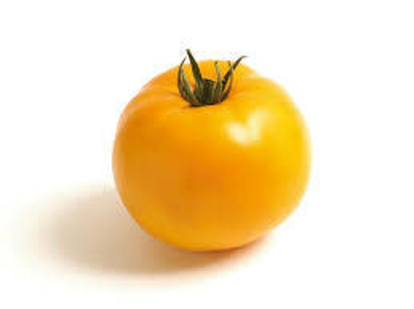 Tomaten gelb
