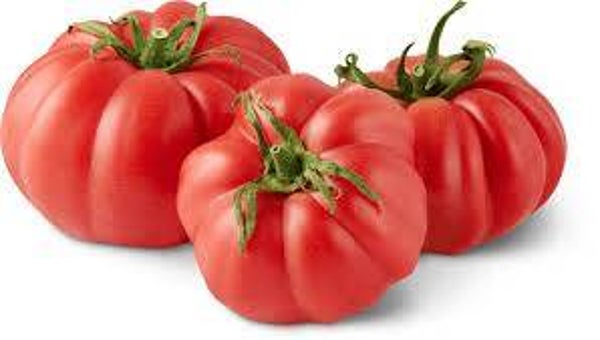 Tomaten Monterosa