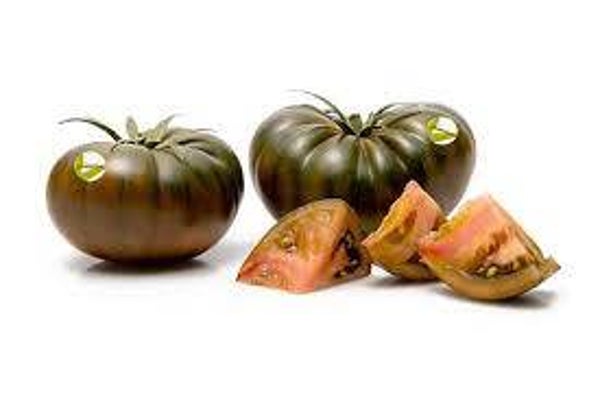 Tomaten Primora