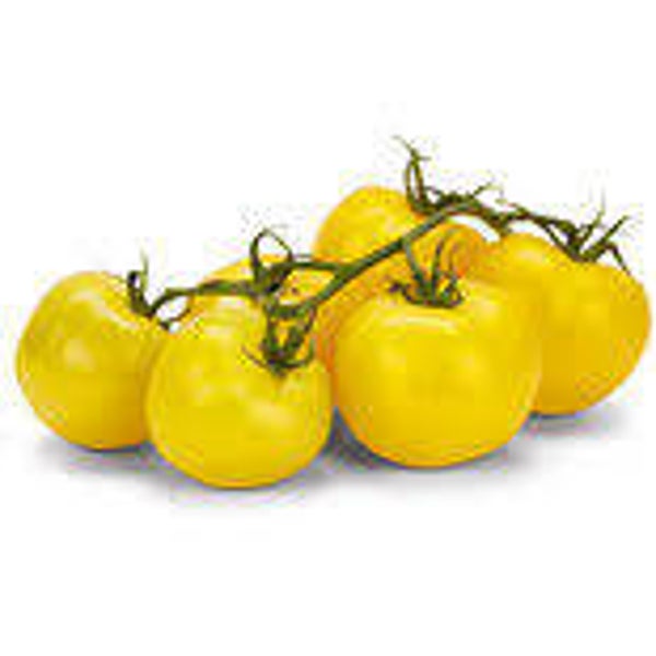 Bio Tomaten Sonnengold