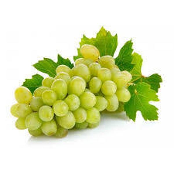 Trauben Vittoria