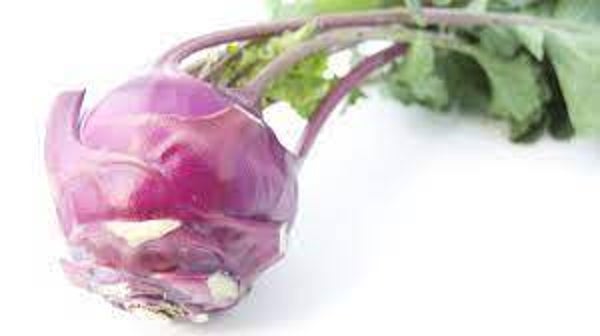 Bio Kohlraben violett