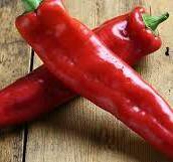 Bio Peperoni Palermo