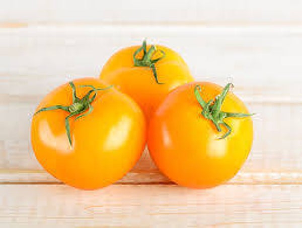 Bio Tomaten Gelb