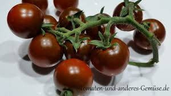 Bio Cherry Tomaten braun
