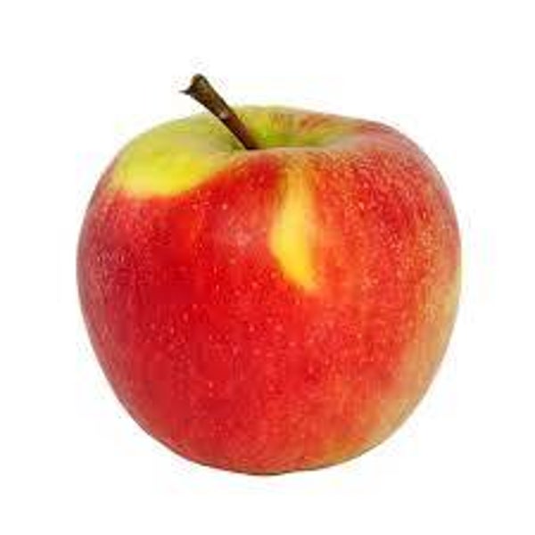 Apfel Elster