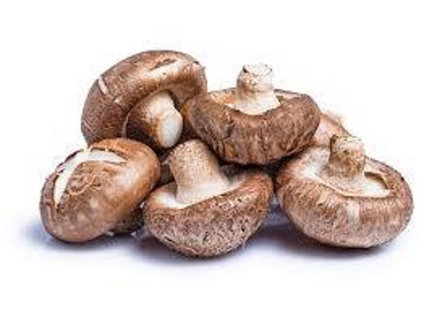 Shitake