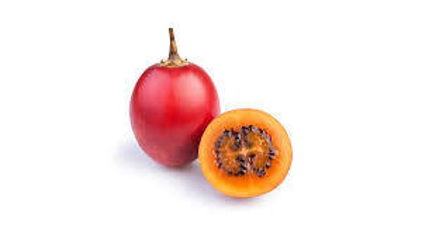 Tamarilos Baum Tomaten