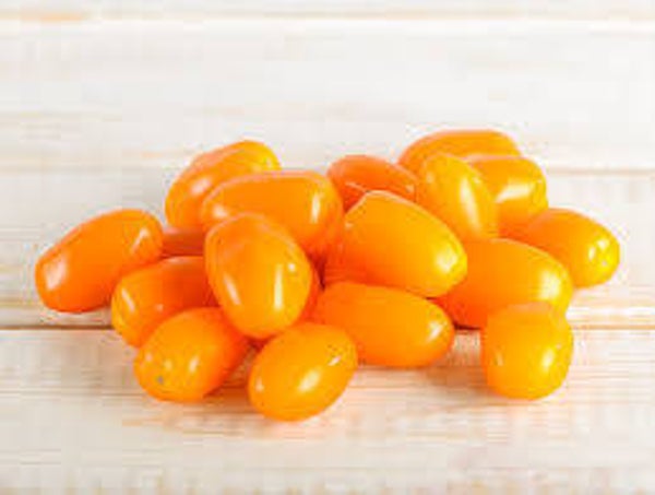Bio Tomaten Datterini gelb