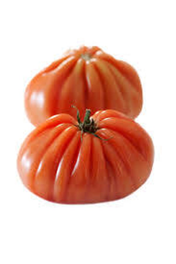 Bio Tomaten Ochsenherz/gerippt