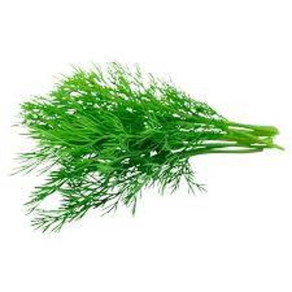 Dill Bund
