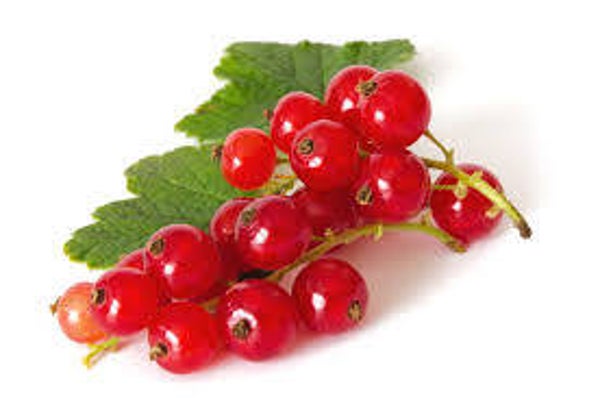 Johannisbeeren Schale
