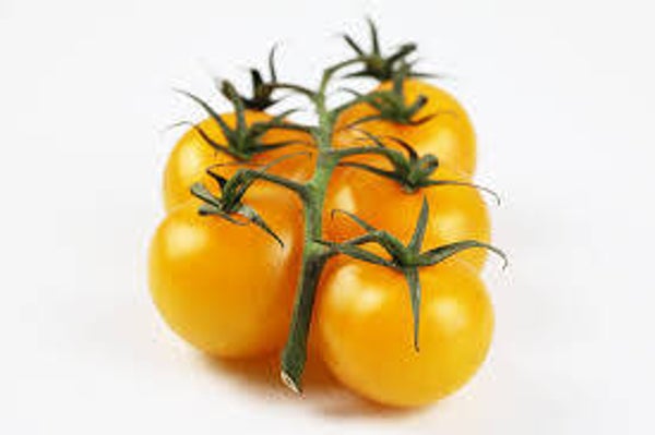 Bio Cherry Tomaten gelb