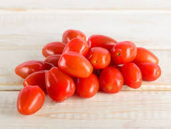Bio Tomaten Datterini rot