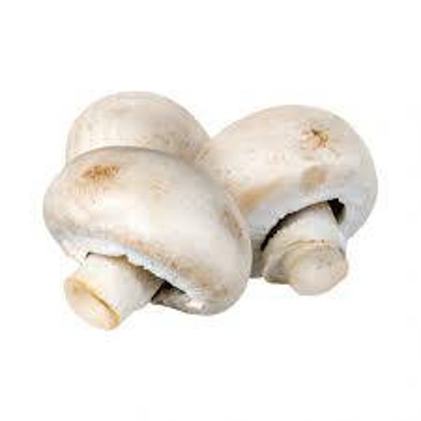 Champignons weiss