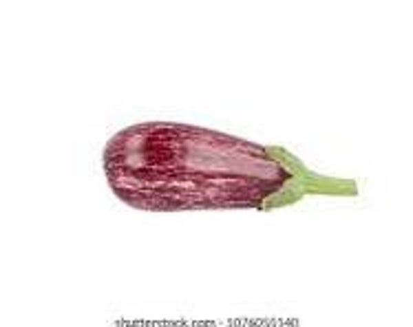 Aubergine Tiger