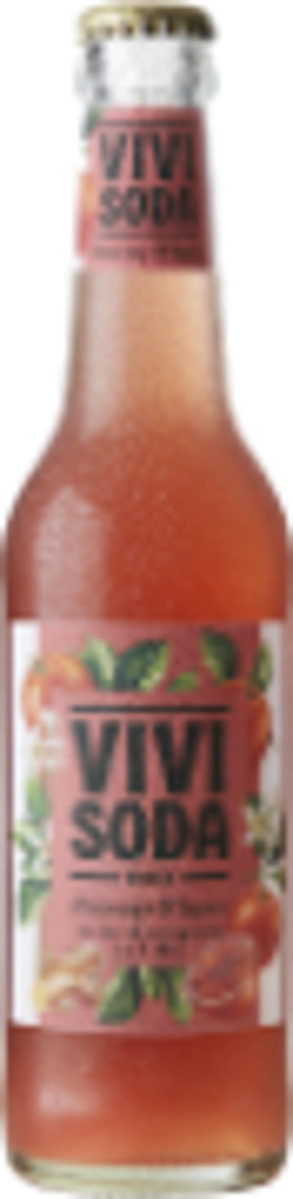 Vivi Soda Blutorange+Ingwer Bio MW Harass