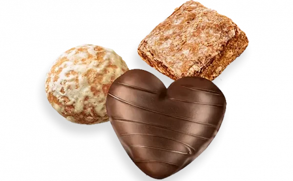 Wernli Lebkuchen-Mischung 1x265g