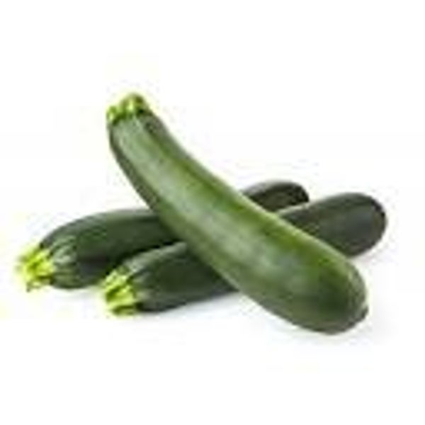 Bio Zucchetti