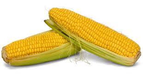 Zuckermays