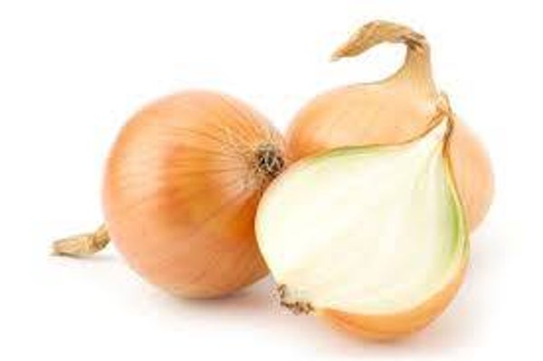 Zwiebeln Gross Gastro