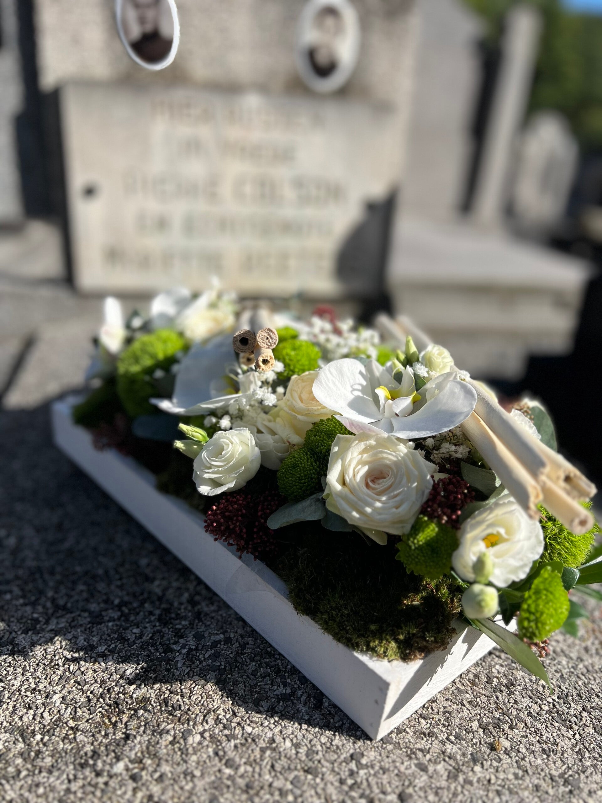 Eeuwige troost