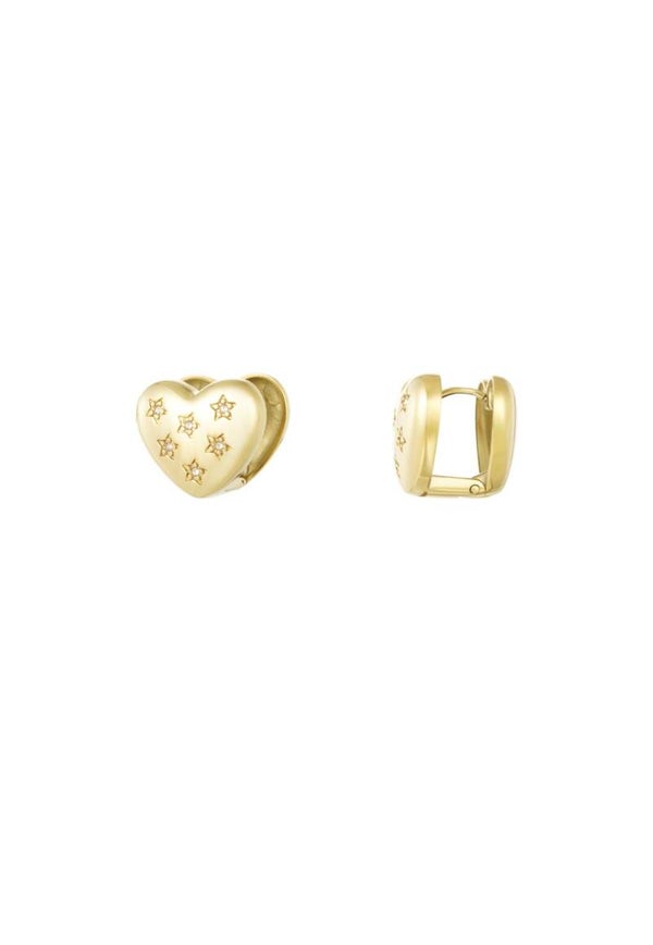 Everyday hearts oorbellen
