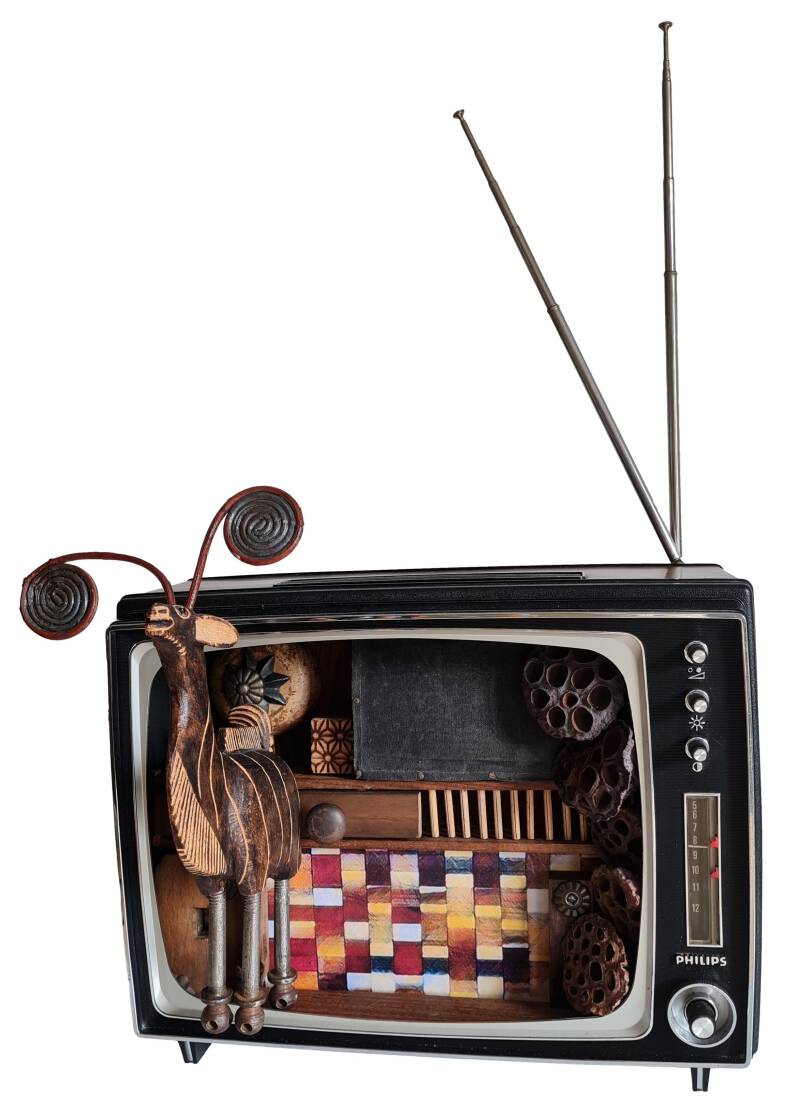 Wanneer de televisie een compositie word, 2022, gevonden voorwerpen, natuurlijke materialen, papier