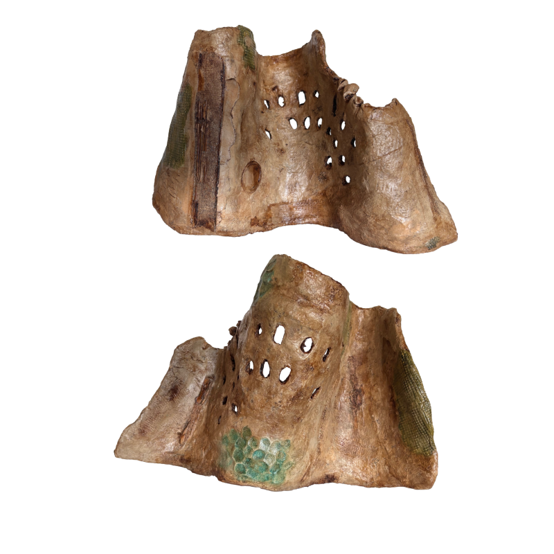 40ceef54-fc6d-46d8-9bd2-561b7b67ad26-standard.png