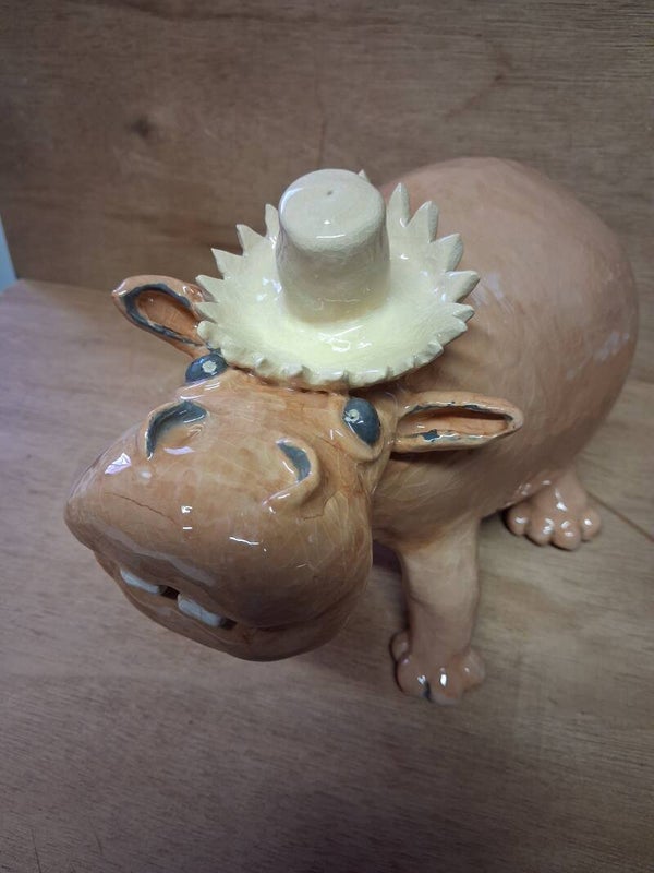 Animal : Hippopotame