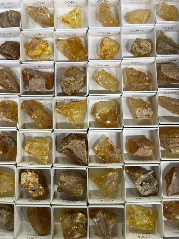 Copal uit Marokko - prijs ex btw