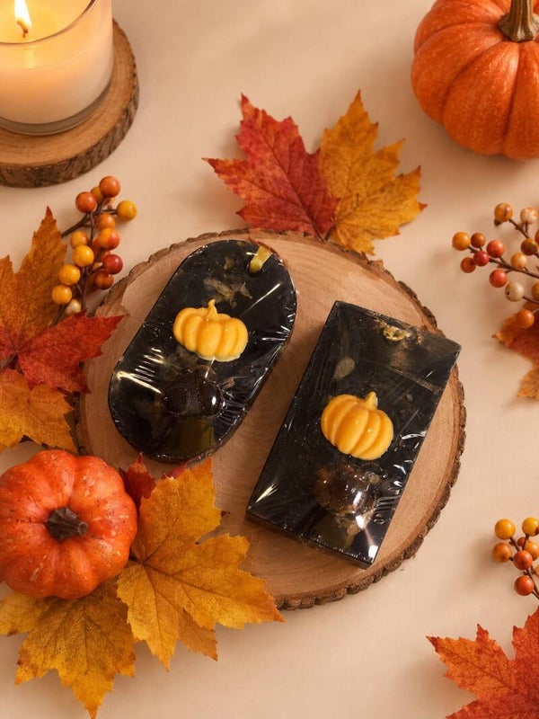Fall Vibes