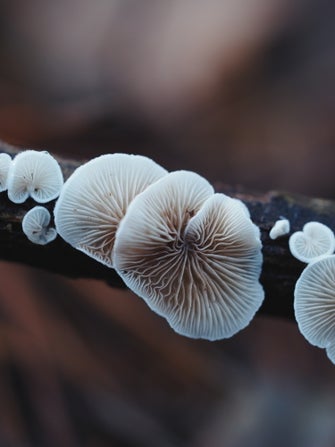 p9280106-1.jpg