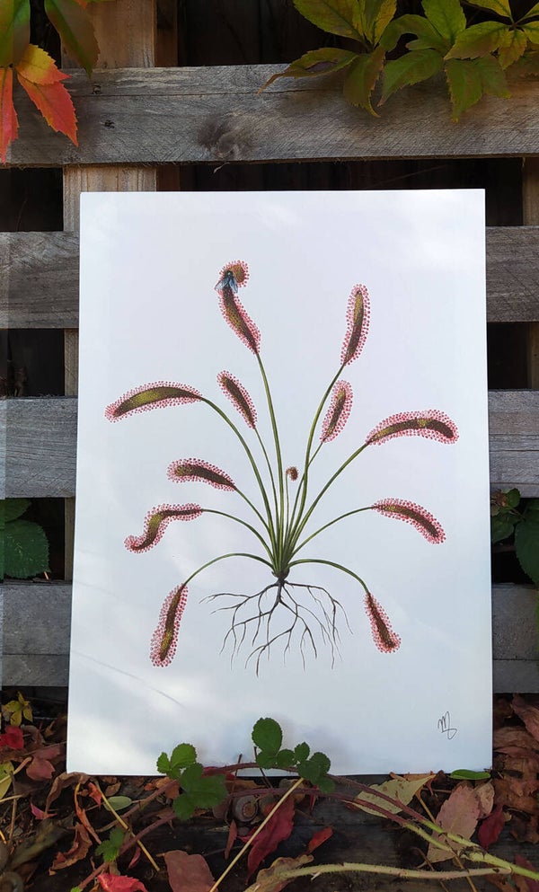 Large Art Print (29.7 x 42 cm)