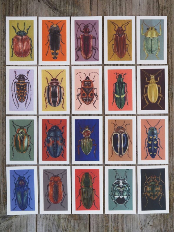 Small Beetle Prints "Keverkaartjes"