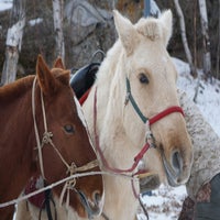 dsc02416-standard.jpg