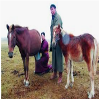 pasted-image-sun-mar-23-2025-15-01-54-gmt-0800-ulaanbaatar-standard-time-standard.png