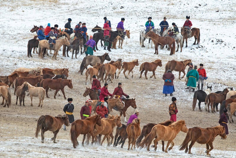 winter_horses_mongolia_images-standard.jpg
