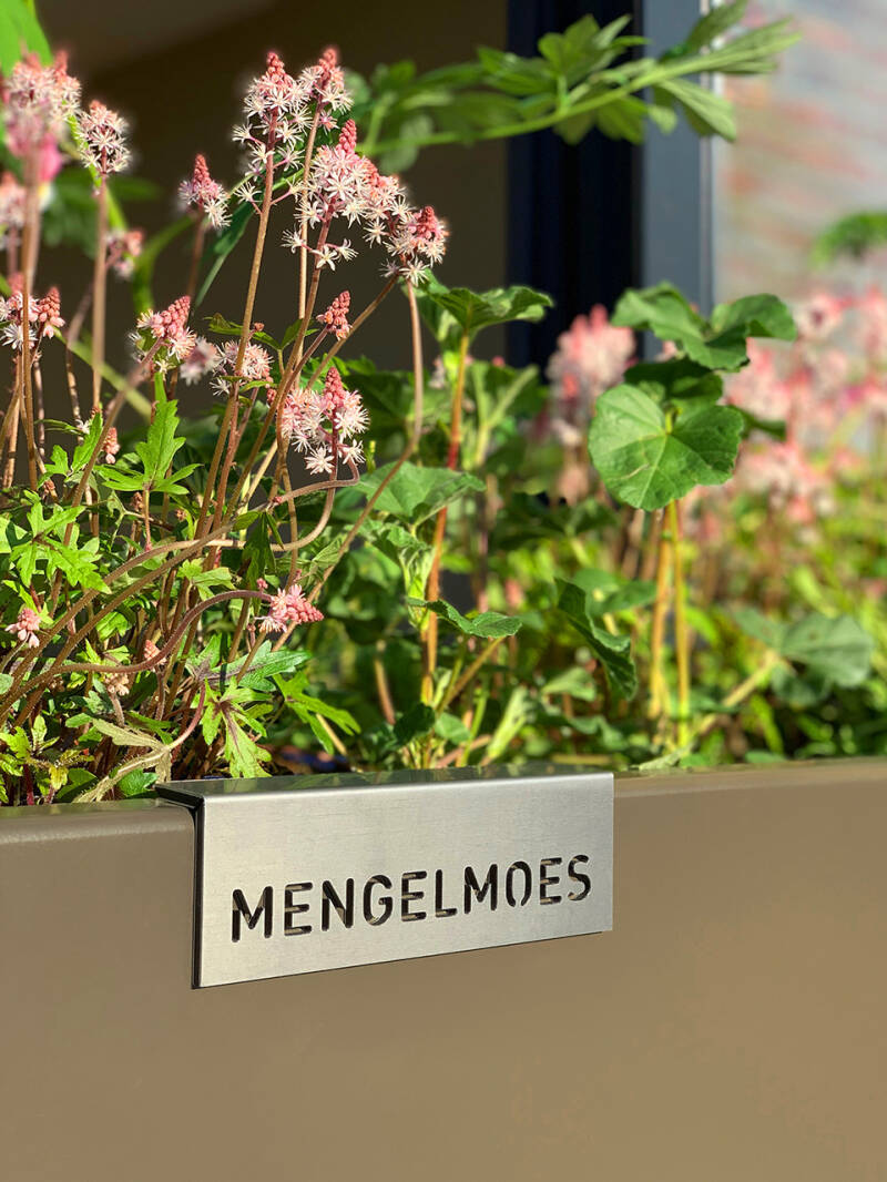 Tuinieren-op-hoogte-met-Mengelmoes_Vlindertuin-02